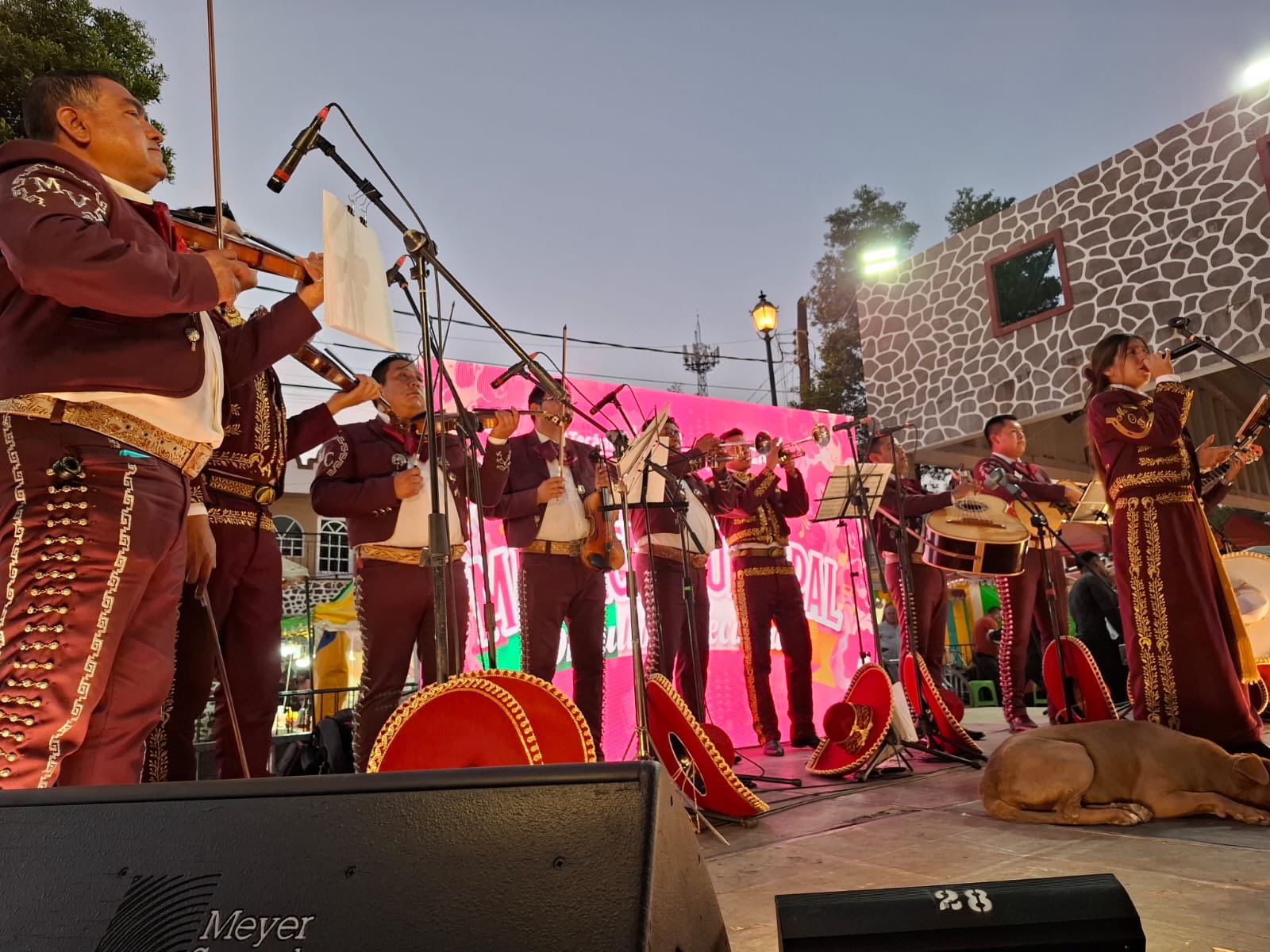 Mariachi Municipal